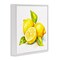 Stupell Industries Lemon Harvest Fruits Framed Giclee Wall Art Design by Andrea Haase